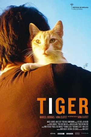 Tiger's poster