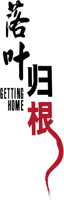 Getting Home's poster