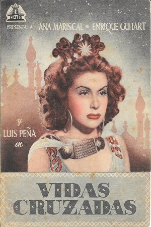 Vidas cruzadas's poster image