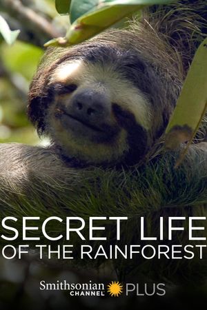 The Secret Life of the Rainforest's poster