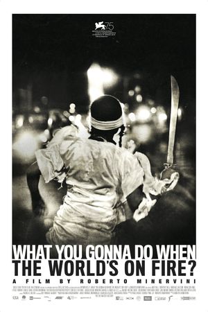 What You Gonna Do When the World's on Fire?'s poster
