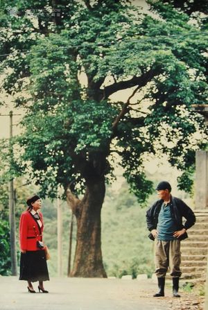Wo de yi piao xuan zong tong's poster