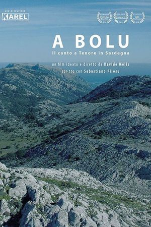 To Bolu's poster