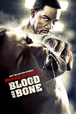 Blood and Bone's poster