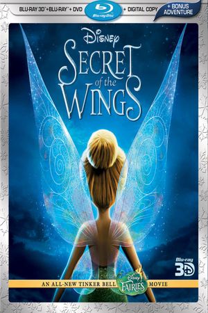 Secret of the Wings's poster
