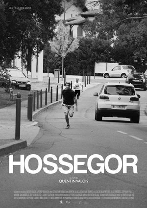 Hossegor's poster