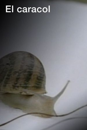 El caracol's poster