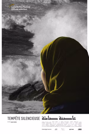 Silent Storm's poster image