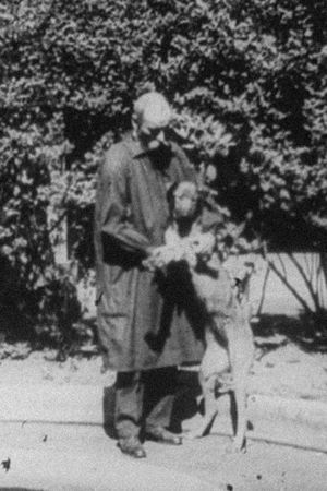 Experimental Treatment of a Hemorrhage in a Dog's poster