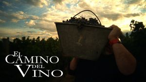 El camino del vino's poster