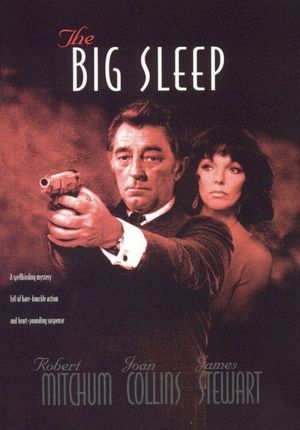 The Big Sleep's poster