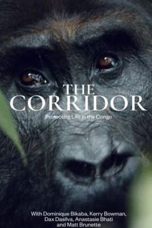 The Corridor's poster