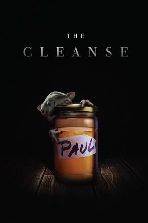 The Cleanse's poster