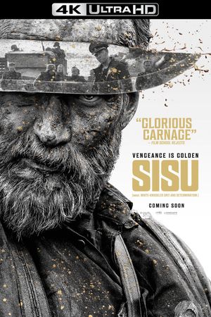 Sisu's poster
