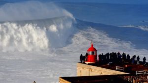 The Perfect Wave: Big Wave Surfing in Portugal's poster