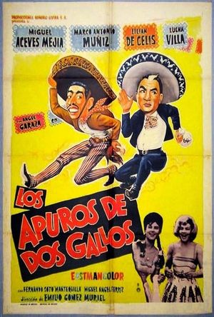 Los apuros de dos gallos's poster