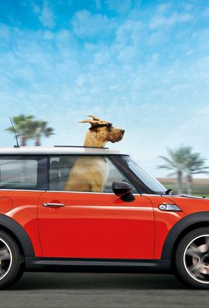 Marmaduke's poster