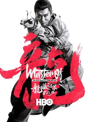 Master of the White Crane Fist's poster