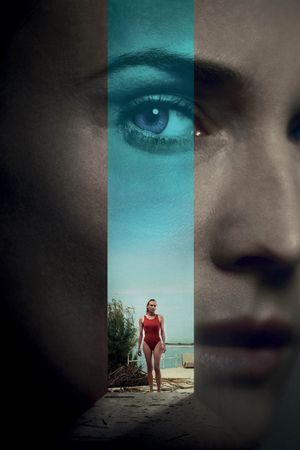 Visions's poster