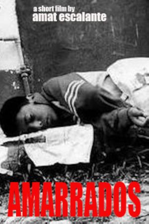 Tied Up's poster