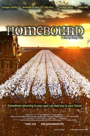 Homebound's poster
