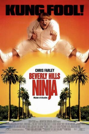Beverly Hills Ninja's poster