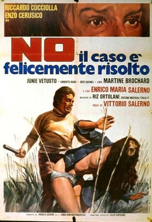 No, the Case Is Happily Resolved's poster