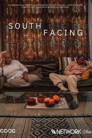 South Facing's poster