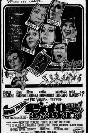 Huwag tularan: Pito ang asawa ko's poster