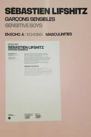 Sensitive Boys's poster