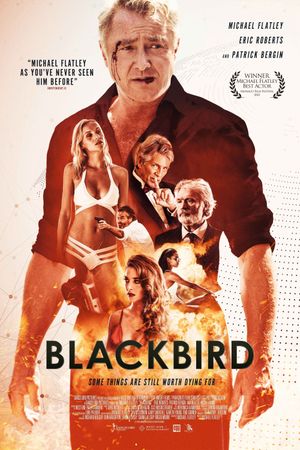 Blackbird's poster