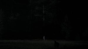 The Witch's poster