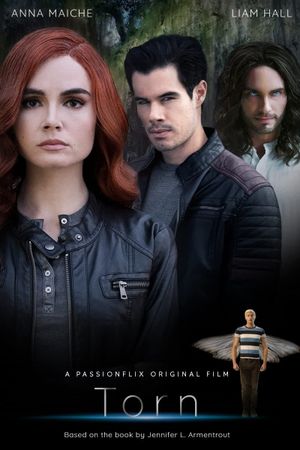 Torn's poster