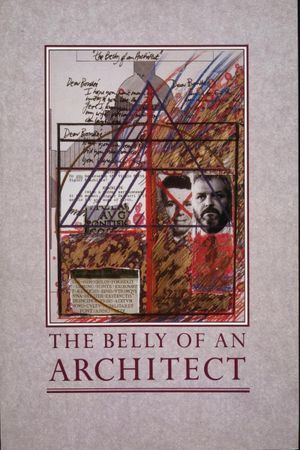 The Belly of an Architect's poster