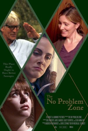 The No Problem Zone's poster