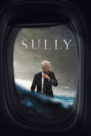 Sully's poster