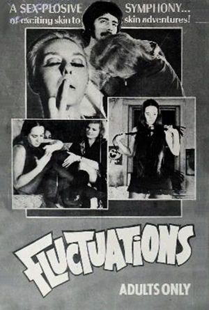 Fluctuations's poster