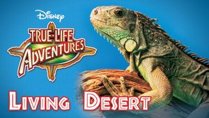 The Living Desert's poster