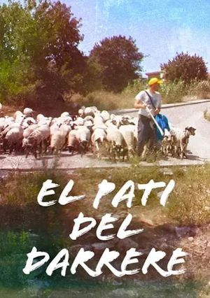 El pati del darrere's poster