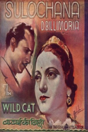 Wildcat of Bombay's poster