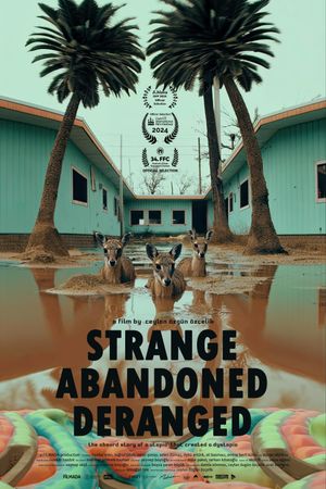 Strange Abandoned Deranged's poster