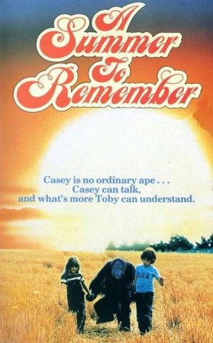 A Summer to Remember's poster