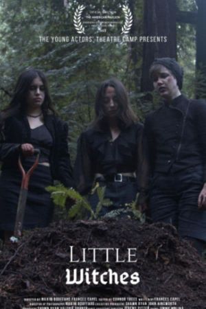 Little Witches's poster image