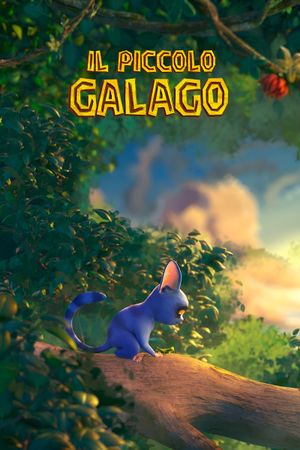 The little galago's poster