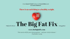 The Big Fat Fix's poster