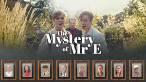 The Mystery of Mr E's poster