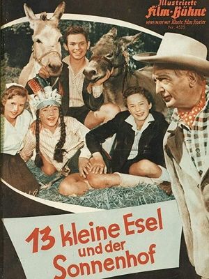 13 kleine Esel und der Sonnenhof's poster