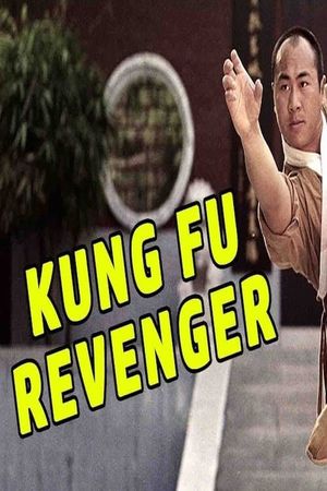 The Kung Fu Revenger's poster