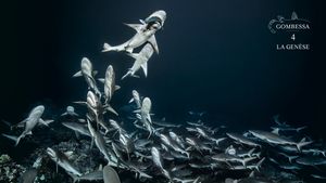 700 Sharks (Gombessa 4, Genesis)'s poster