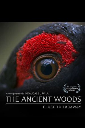 The Ancient Woods's poster